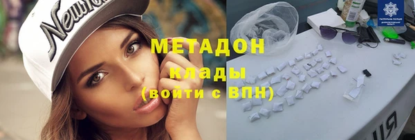 гидра Горняк