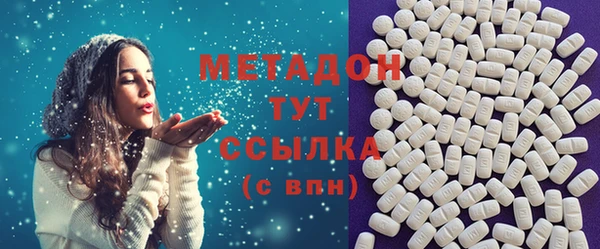 гидра Горняк