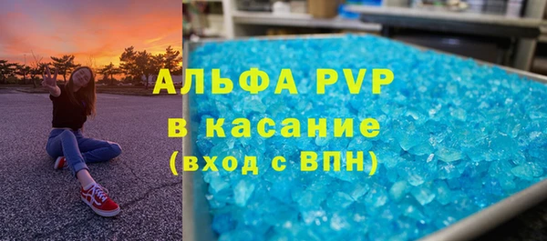 гидра Горняк