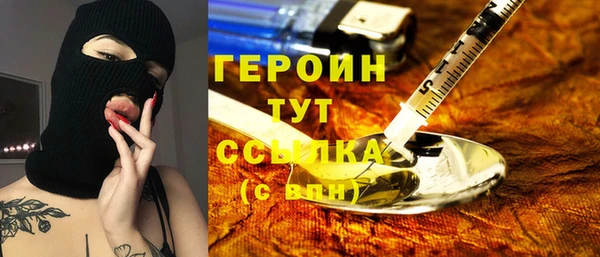 гидра Горняк