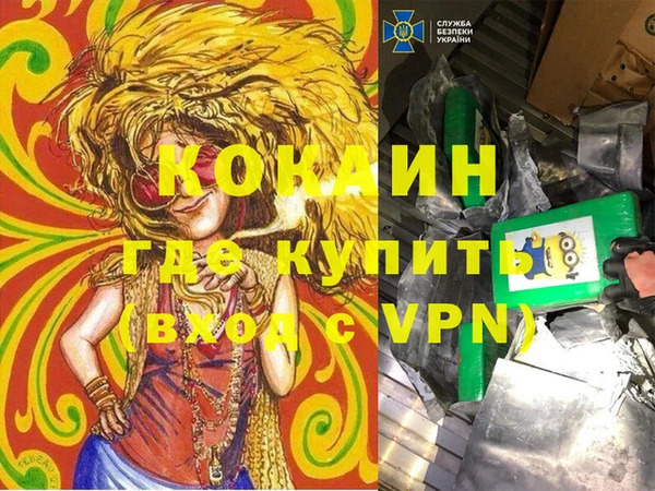 СК Гусев