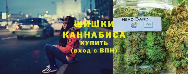 гидра Горняк