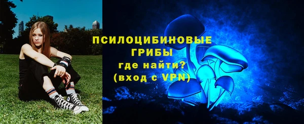 гидра Горняк