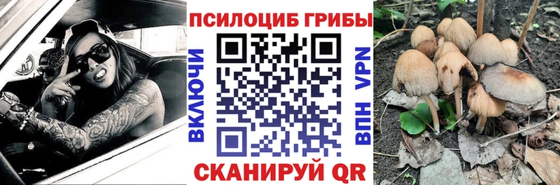 Псилоцибиновые грибы MAGIC MUSHROOMS  Дальнегорск 
